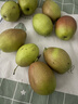 京鲜生 河北酥润香梨 净重4.5斤 单果120g+ 生鲜水果 源头直发 实拍图