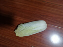 云南高原娃娃菜新鲜蔬菜生鲜乾隆白菜早餐火锅必备产地直发 浅黄色 新鲜娃娃菜3颗装*2包 实拍图