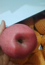佳农 烟台红富士苹果 净重10斤  单果重190g以上 生鲜水果礼盒 实拍图