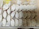 湾仔码头三鲜水饺1320g66只饺子早餐速食半成品面点速冻饺子 实拍图