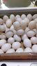 均鲜新鲜土鸽子蛋杂粮喂养农家特产白鸽蛋信鸽蛋孕妇宝宝年货节礼盒装 60枚1500g左右精选大个种鸽蛋 实拍图