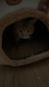 猫窝狗窝房子型四季通用小型犬泰迪冬季保暖可拆洗狗屋宠物床用品 小熊 大号(45*40*45)适16斤内 实拍图