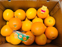 土八鲜江西橙子赣南脐橙新鲜水果赣州脐橙手剥甜橙礼盒 奋进橙9-10斤【果径70-79mm】 实拍图