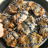 【活蟹】宿有千香 鲜活大闸蟹 公3.5-3.8两 母2.5-2.8两 4对共8只去绳足重生鲜螃蟹礼盒 实拍图
