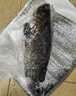 鲜活大龙胆石斑鱼1条 600g起 实拍图