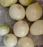 新鲜黄洋葱黄金水果洋葱即食蔬菜调料烧烤食材 新鲜黄洋葱 500g 含箱 实拍图