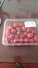京鲜生 甜红子红山楂 新鲜山楂300g 尝鲜装 生鲜水果 实拍图