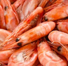 鲜京采 海藻头熟冻北极甜虾 净重5斤 90/120规格 225-300只/盒  实拍图