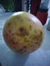 福建平和老树红柚 新鲜现摘 皮薄肉厚多汁 蜜柚柚子 2-3斤（1-2粒）推荐 实拍图