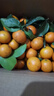懒鲜生广东正宗沙糖桔清甜无渣砂糖橘新鲜 2斤净重 小果（30-40mm-花皮 介意慎拍） 实拍图