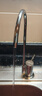 道尔顿（Doulton）净水器家用直饮 厨房自来水龙头过滤器矽藻陶瓷饮水机超滤净水机无废水厨下式 D-IP301 实拍图