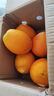 高山纽荷尔脐橙新鲜橙子应季自种农家新鲜采摘60-65mmjy 纽荷尔橙子-尝鲜装（2粒）60-65mm 实拍图