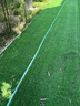 假草皮仿真草坪绿色地毯户外人造塑料人工仿生室外隔热围挡足球场 2厘米新升级加密优质春草 【1米宽/1米长】需要几米长拍几米（整卷25米） 实拍图