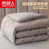 南极人（Nanjiren）冬季被子冬被被芯加厚春秋被学生宿舍加厚保暖冬被四季通用棉被 灰色 150x200cm 8斤 实拍图