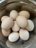 京喜加 谷物喂养初产新鲜鸡蛋40g正负5g生鲜超市买菜早餐土鸡蛋草鸡蛋 10枚 实拍图