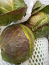 包菜新鲜卷心菜大头菜农户自种当季绿叶蔬菜绿甘蓝 绿甘蓝 5斤 实拍图
