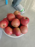 京鲜生 烟台红富士苹果 净重10斤 单果190g以上 生鲜水果 礼盒装 实拍图