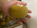 佳沛（zespri）新西兰  金果10粒礼盒巨大果单果144-175g 水果猕猴桃 实拍图
