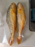 海名威 冷冻黄花鱼700g/2条 宁德大黄鱼地标 海鲜水产 生鲜鱼类 海鱼 实拍图