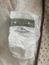 babycare皇室狮子王国弱酸纸尿裤XXL28片(15kg以上)婴儿尿不湿亲肤透气 实拍图