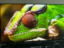 三星（SAMSUNG）32英寸 G81SF QD-OLED 4K 240Hz 0.03ms 二级能效 防烧屏防眩光玄龙骑士电竞显示器LS32FG812SBXXF 实拍图