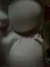 ubras无尺码加大版背心式文胸无痕无钢圈女士内衣女无痕胸罩 柔灰紫 实拍图