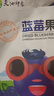 天池印象东北特产蓝莓干不添加油独立小包装蓝莓果干休闲零食礼盒整颗大果 蓝莓果干250g*1袋 实拍图