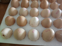 京鲜生【每日鲜蛋】无抗谷物鸡蛋30枚 3.18斤 当日产蛋 当日发货 实拍图
