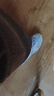 NEW BALANCE老爹鞋男鞋女鞋厚底百搭休闲运动鞋MR530系列MR530KMW 41.5 实拍图