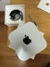 Apple/苹果AI电脑/Mac mini迷你主机 M4银色(10+10核) 16G 256G台式电脑主机 MU9D3CH/A 实拍图
