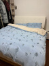 京东京造 220g牛奶绒四件套 A类秋冬加厚高克重法兰绒保暖双人床单枕套被套 1.8米床 蓝色花汀 实拍图