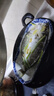 仙泉湖三去白蕉海鲈鱼 400g/条净膛冷冻刺少肉厚特产食材生鲜水产 实拍图