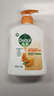 滴露（Dettol）洗手液柑橘500g瓶 健康抑菌消毒清爽 儿童家庭非补充装替换 实拍图