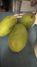 【双十一热卖】玉芒水果芒果新鲜上市 带箱2斤【单果300g+】 实拍图