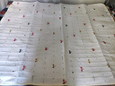 彩虹双人自动断电智能定时双温双控除螨无纺布电热毯电褥子1.8*1.5米 实拍图