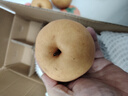 三萌果蔬正宗山东秋月梨 新鲜现摘莱阳冰糖梨子水果礼盒节日送礼 【精选级-中果】单果250-300g 5斤装【店长力荐-80%选择】净重4.5斤 实拍图