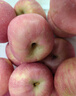 京鲜生 烟台红富士苹果 净重8斤  单果230g起 水果礼盒 实拍图