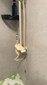 万和淋浴花洒套装精铜卫浴花洒全套家用卫浴增压花洒喷头浴室淋浴器 实拍图