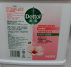 滴露（Dettol）洗手液补充装大桶消毒滋润5L 儿童家庭装杀菌护手 实拍图