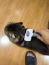 憨憨乐园猫梳子梳毛专用开结去浮毛神器密齿狗狗宠物猫咪排梳子 密齿款 实拍图