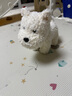 babycare&bct儿童毛绒玩具狗电子哈基米宠物玩偶节日生日七夕礼物西高地犬 实拍图