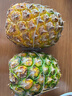 都乐Dole 菲律宾无冠凤梨 菠萝 中果2个*800g起 酸甜可口源头直发包邮 实拍图