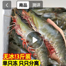 东上御品虾 青岛大虾基围虾鲜活青虾白虾海虾对虾冰虾冻虾生鲜 虾类 海鲜 3斤(净重)  气冻大虾【活虾速冻】 15-18cm【单只超大虾】 实拍图