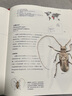甲虫博物馆 甲虫博物大百科 博物文库 实拍图