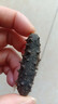 皇纯【威海产地】优选淡干海参50g7-12只 干货底播刺参 源头直发包邮 实拍图