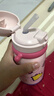 babycare儿童保温杯婴儿宝宝吸管水杯霸王龙不锈钢保温杯300ml-新旧款混发 实拍图