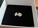 Lnieer999足银耳钉女山茶花养耳洞耳环花朵银耳钉2025新款高级感银耳饰 耳针款山茶花耳钉【足银999】 实拍图