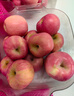 京鲜生 烟台红富士苹果 净重10斤 单果190g以上 生鲜水果 礼盒装 实拍图