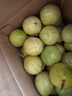 京典光年广西灵山钦蜜9号百香果 黄金百香果纯甜水果新鲜现摘整箱 实惠中果3斤（单果45-60g） 实拍图