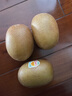 佳沛（zespri）新西兰  阳光金奇异果25-27粒原箱特大果单果约122-146g  猕猴桃 实拍图